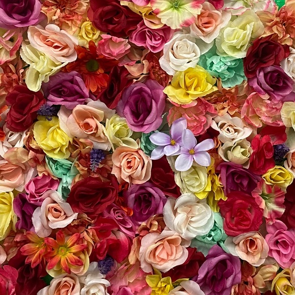 Meet your Posher, Chance - Picture 1 of 1